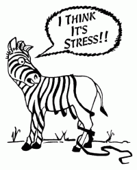 stress-zebrastripes.gif